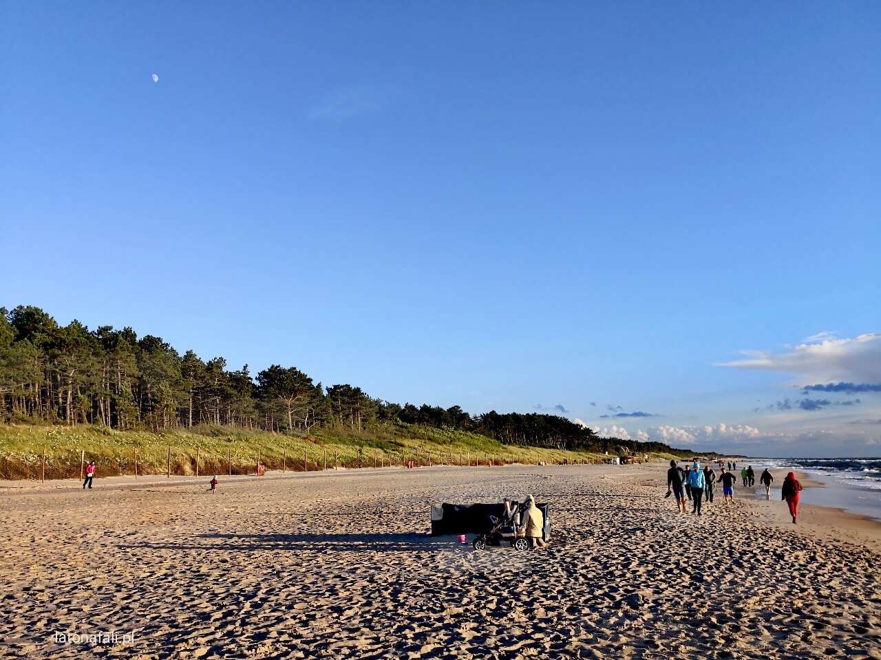 Galeria | Dąbki domki | domki letniskowe dla rodzin z dziećmi | Blisko Morza Komfortowe i przestronne dwupokojowe domki z aneksem kuchennym, łazienką i tarasem na pewno spełnią Państwa oczekiwania zaskakując fasonem oraz wielkością. Doskonała lokalizacja, bliskość morza, rodzinny charakter wypoczynku to nasze atuty.